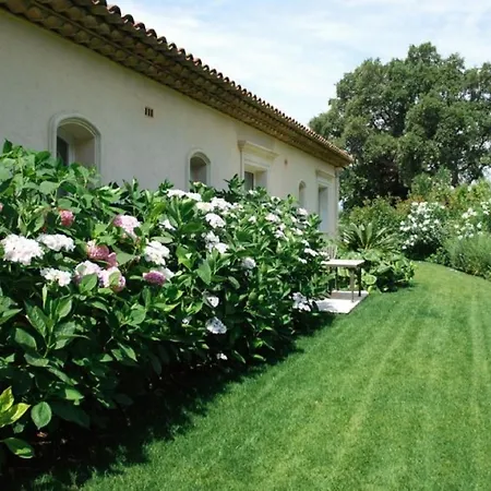Villa Beautiful Luxury In Saint-tropez, Cote D'azur *
